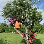 Quinta Do Pinheiral Villa *