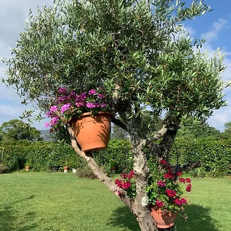 Quinta Do Pinheiral Villa *