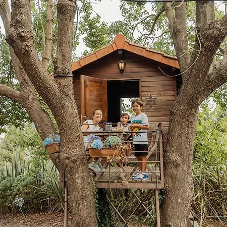 빌라 Quinta Do Pinheiral