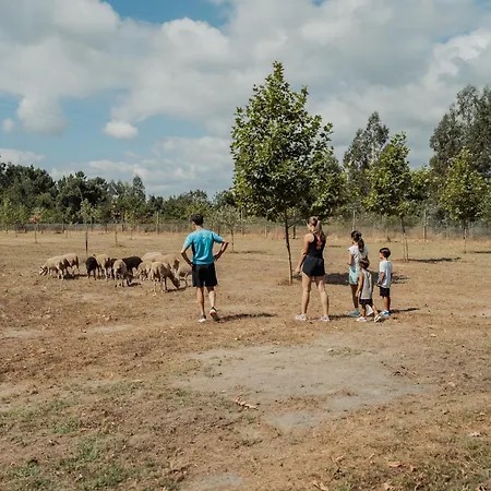 Quinta Do Pinheiral 빌라