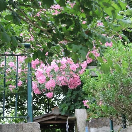 Villa Quinta Do Pinheiral Favoes