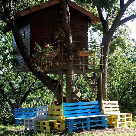 Quinta Do Pinheiral