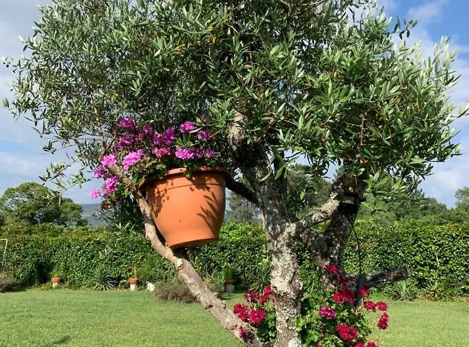 Quinta Do Pinheiral Villa *