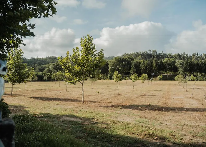 Quinta Do Pinheiral Βίλα *