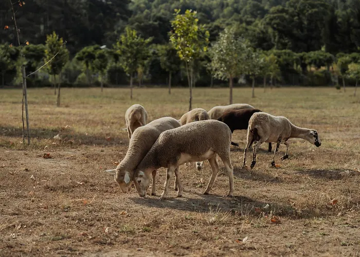 Villa Quinta Do Pinheiral *
