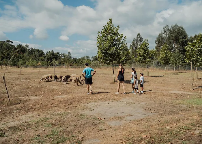 Quinta Do Pinheiral Βίλα