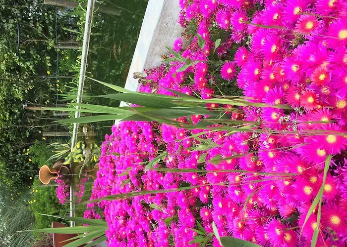 Villa Quinta Do Pinheiral Favoes